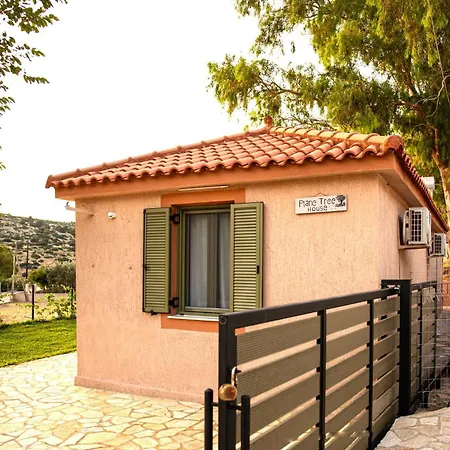 Plane Tree House * Kardhakata