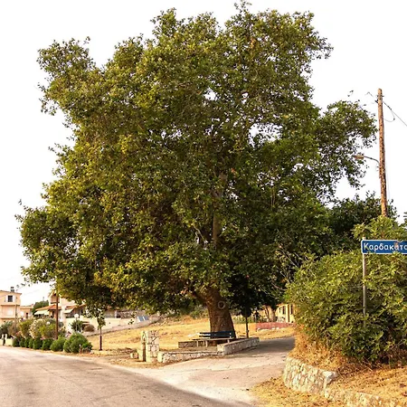 Дом отдыха Plane Tree House Kardhakata