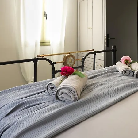 Plane Tree House Kardhakata