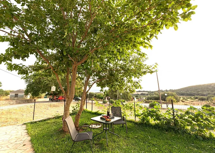 Plane Tree House Kefalonia Ferienhaus