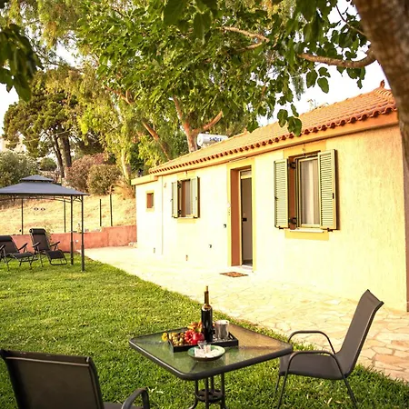 Plane Tree House * Kardhakáta