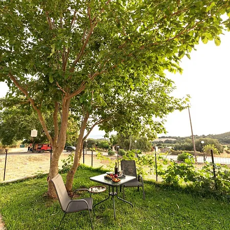 Plane Tree House Semesterbostad