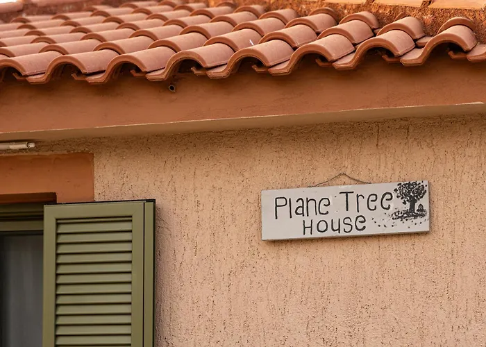 Hébergement de vacances Plane Tree House