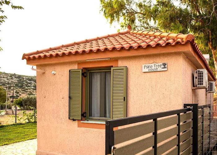 Plane Tree House * Kardhakáta