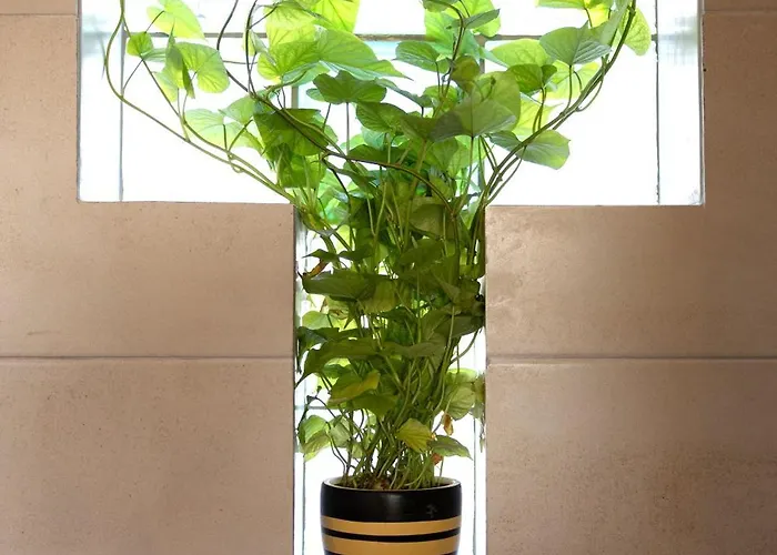 Hébergement de vacances Plane Tree House