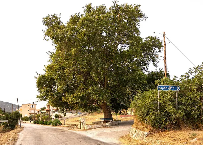 Vakantiehuis Plane Tree House Kefalonia Kardhakáta